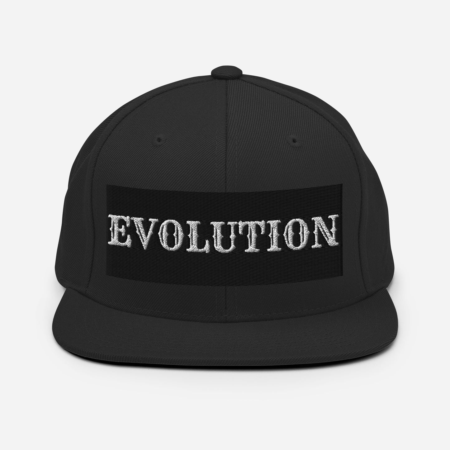 Snapback Hat