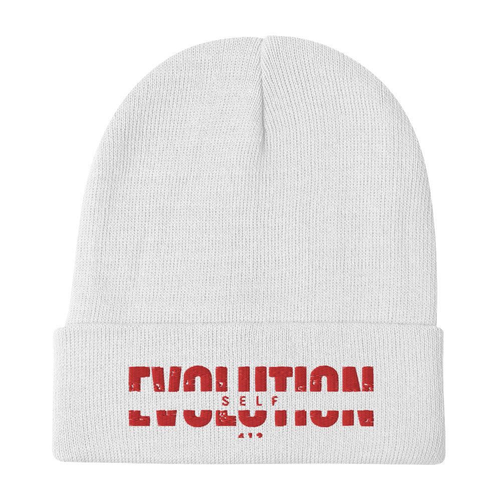 Embroidered Beanie